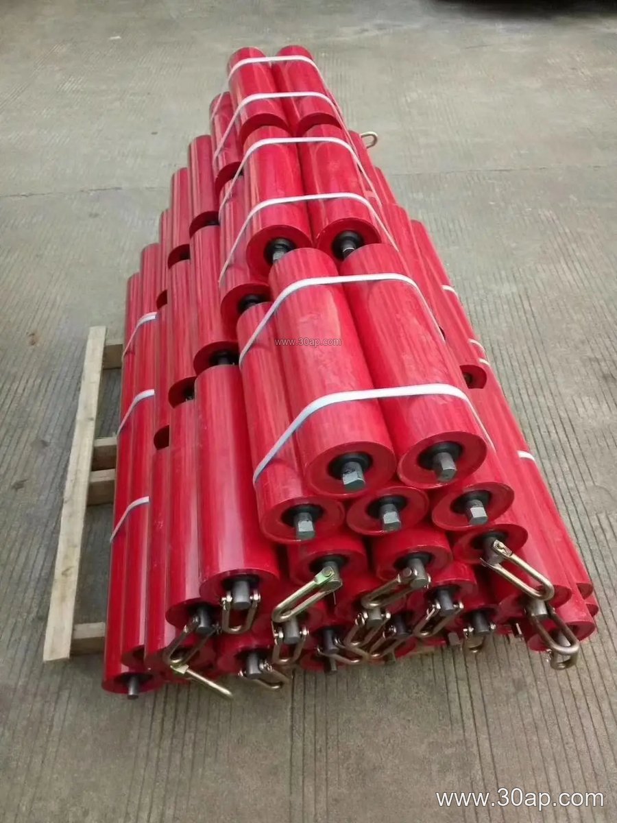 Guide Roller