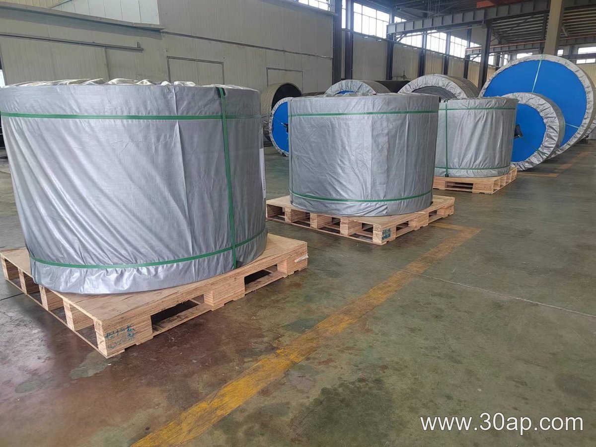 EP630 Conveyor Belt