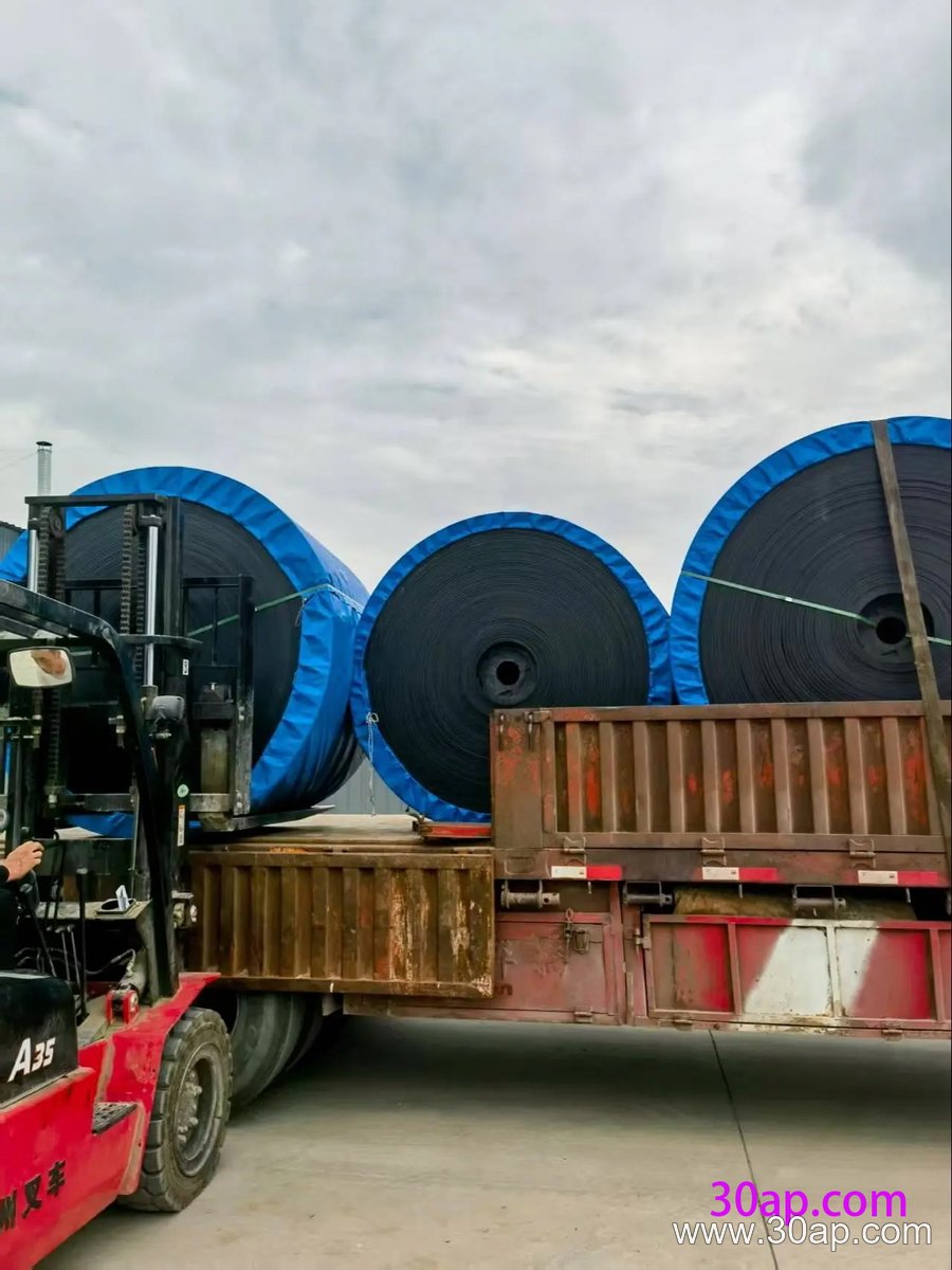 EP1250 Conveyor Belt