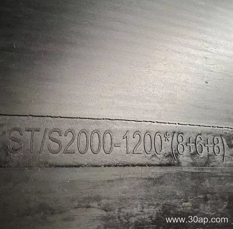 EP300 Conveyor Belt