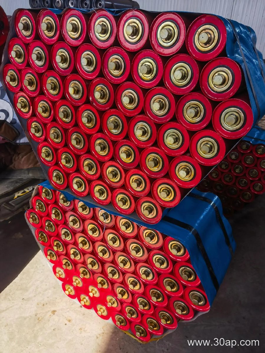Belt Guide Roller