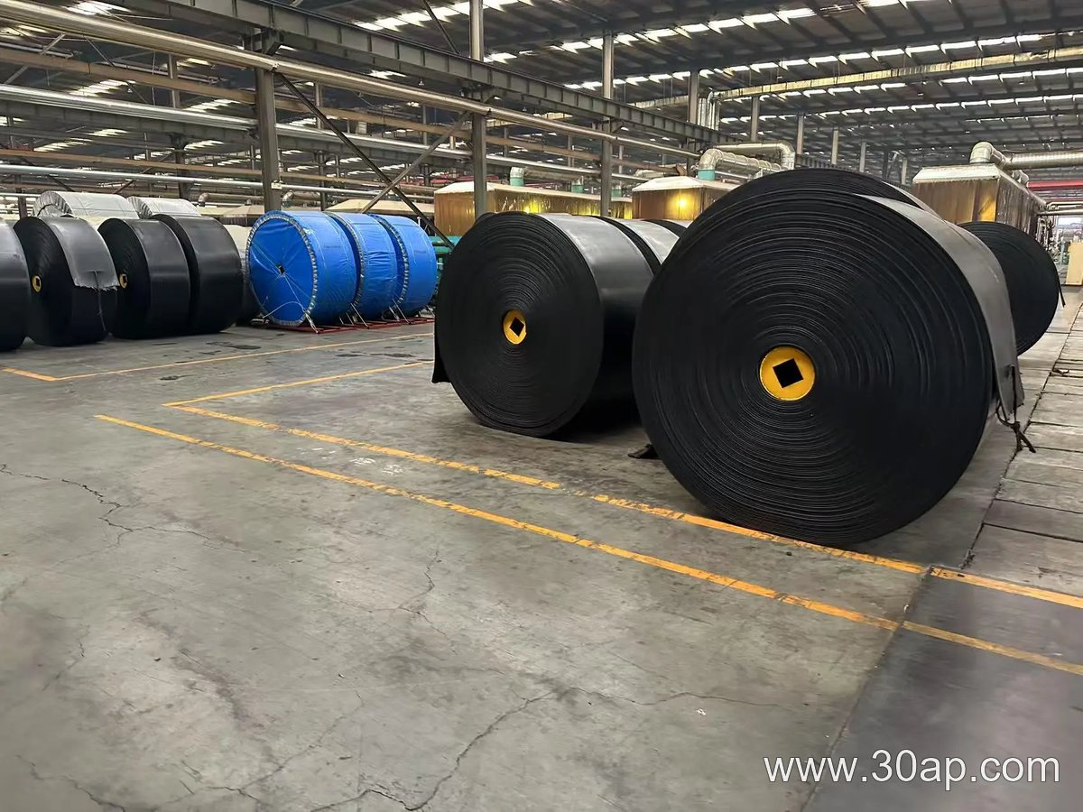 2400mm Conveyor Belt