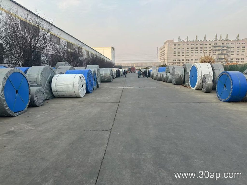 ST1000 Conveyor Belt
