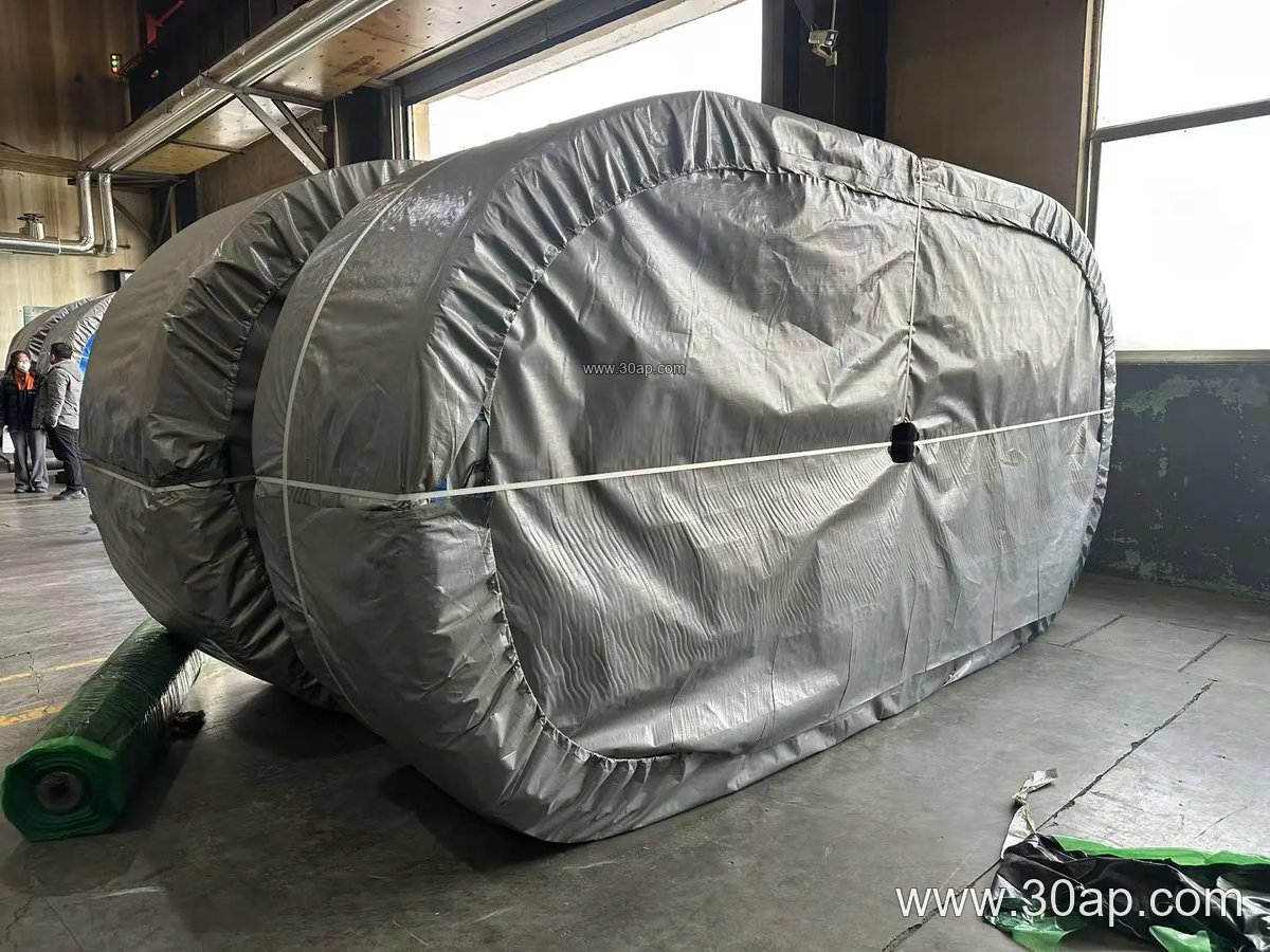 EP300 Conveyor Belt