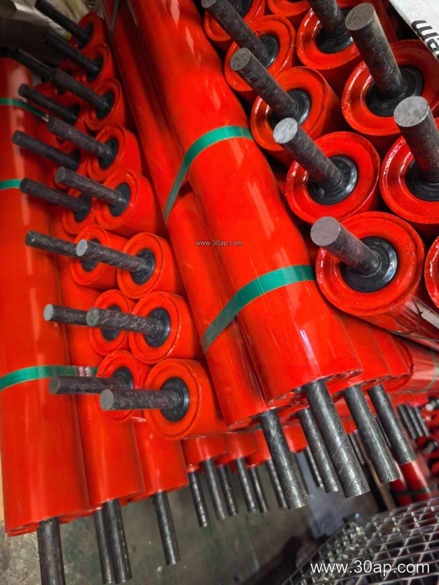 Conveyor System Idler