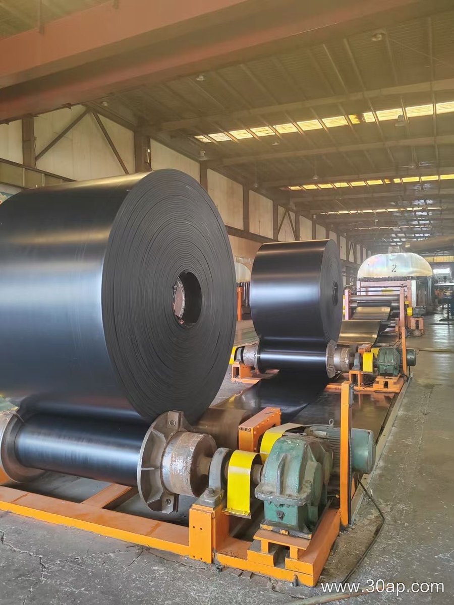 EP1250 Conveyor Belt