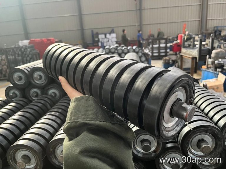 Dustproof and Waterproof Idler for Reliable Conveyor Performance