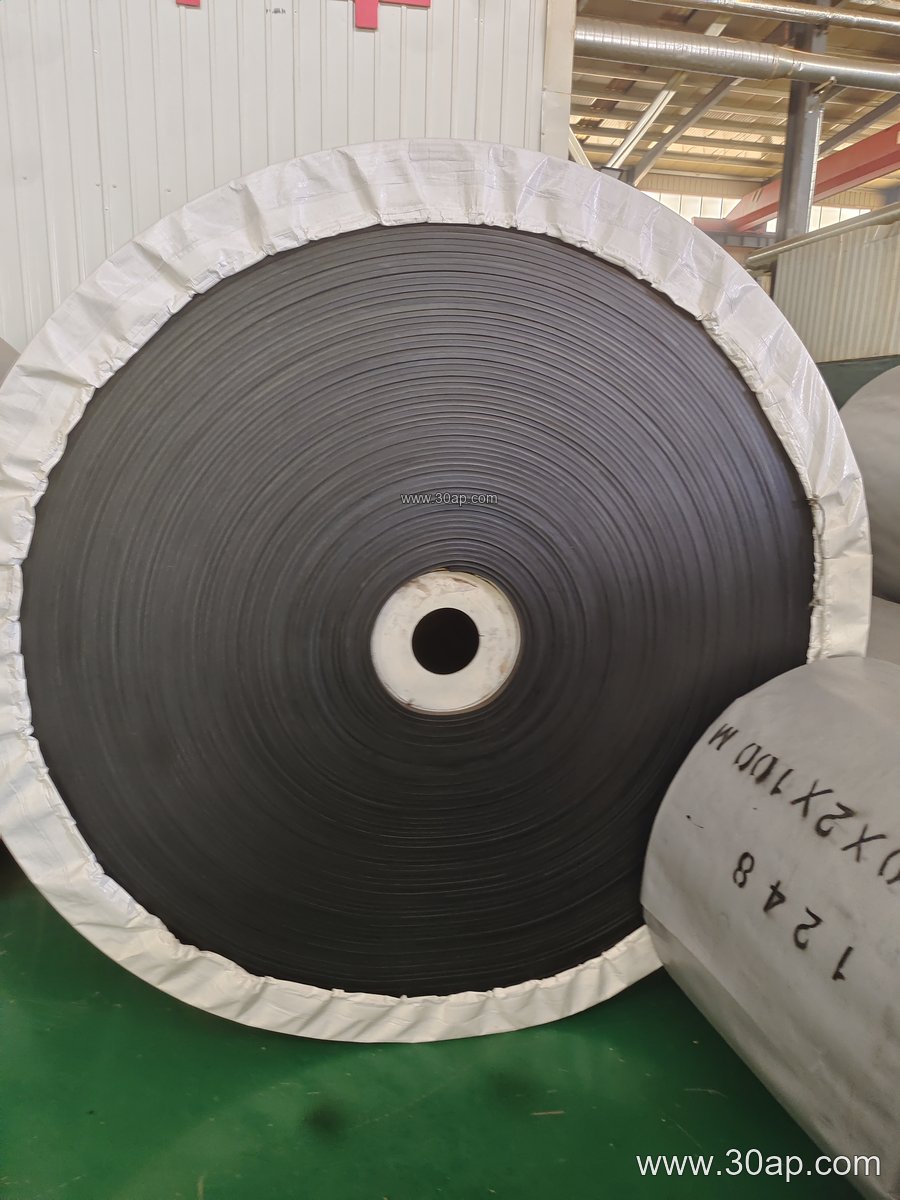 Thick Conveyor Belt