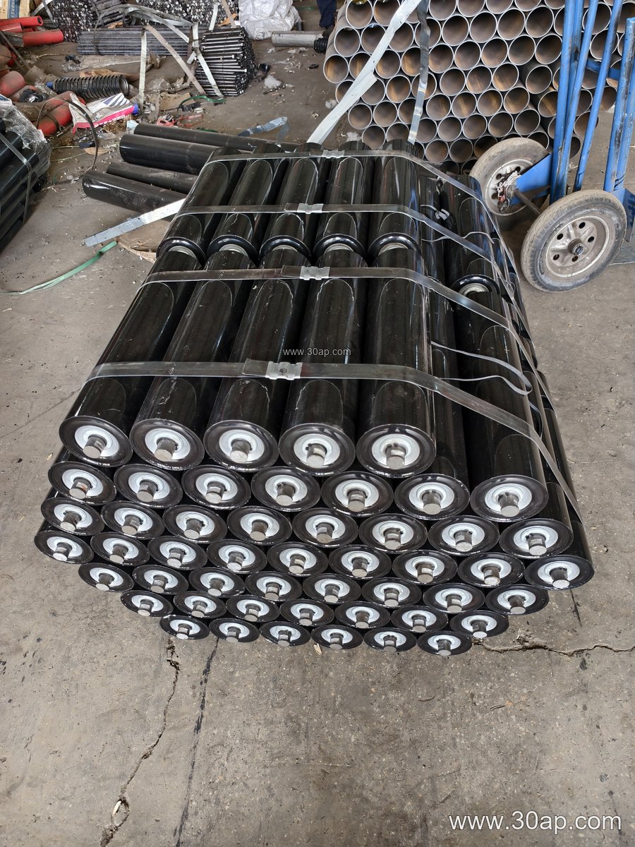 Belt Anti-Misalignment Idler