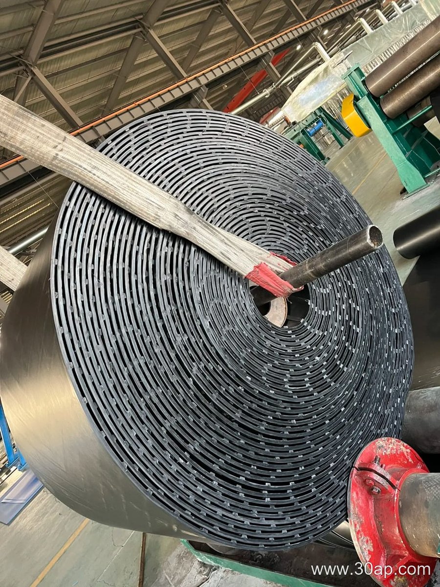 Port Conveyor Belt
