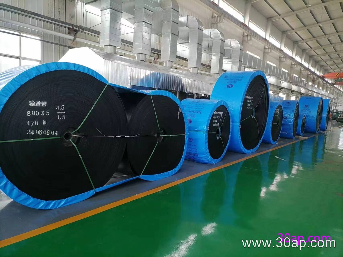 600mm Conveyor Belt
