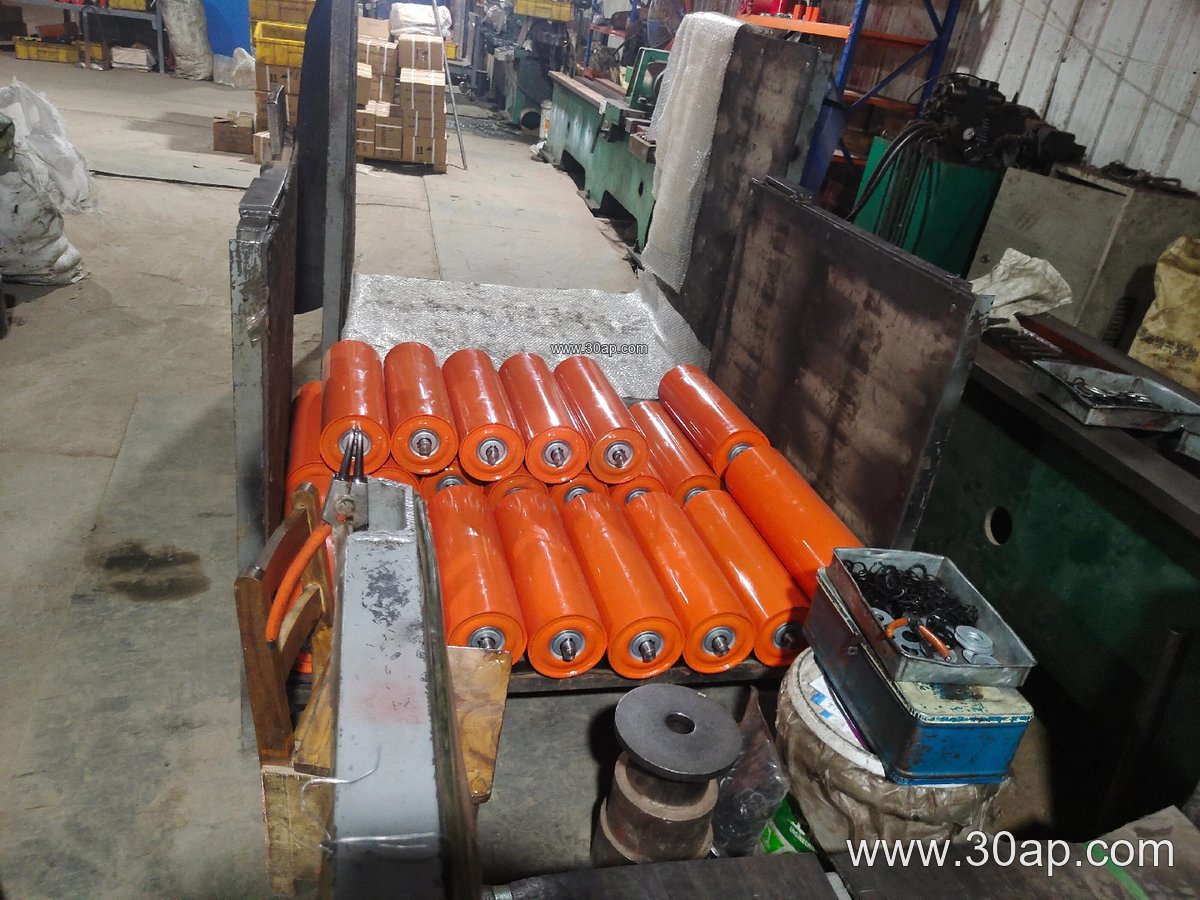 Conveyor Self-Aligning Idler