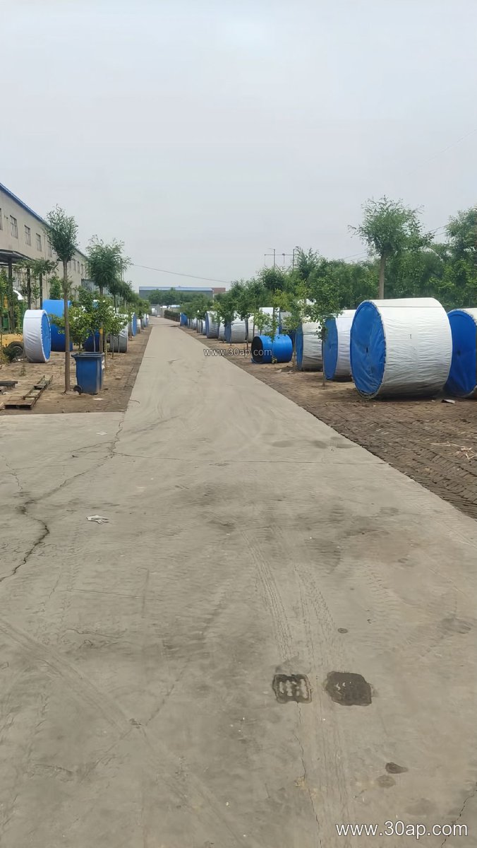 Aggregate Conveyor Belt
