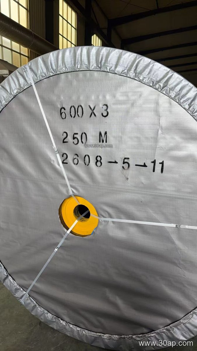 ST2500 Conveyor Belt