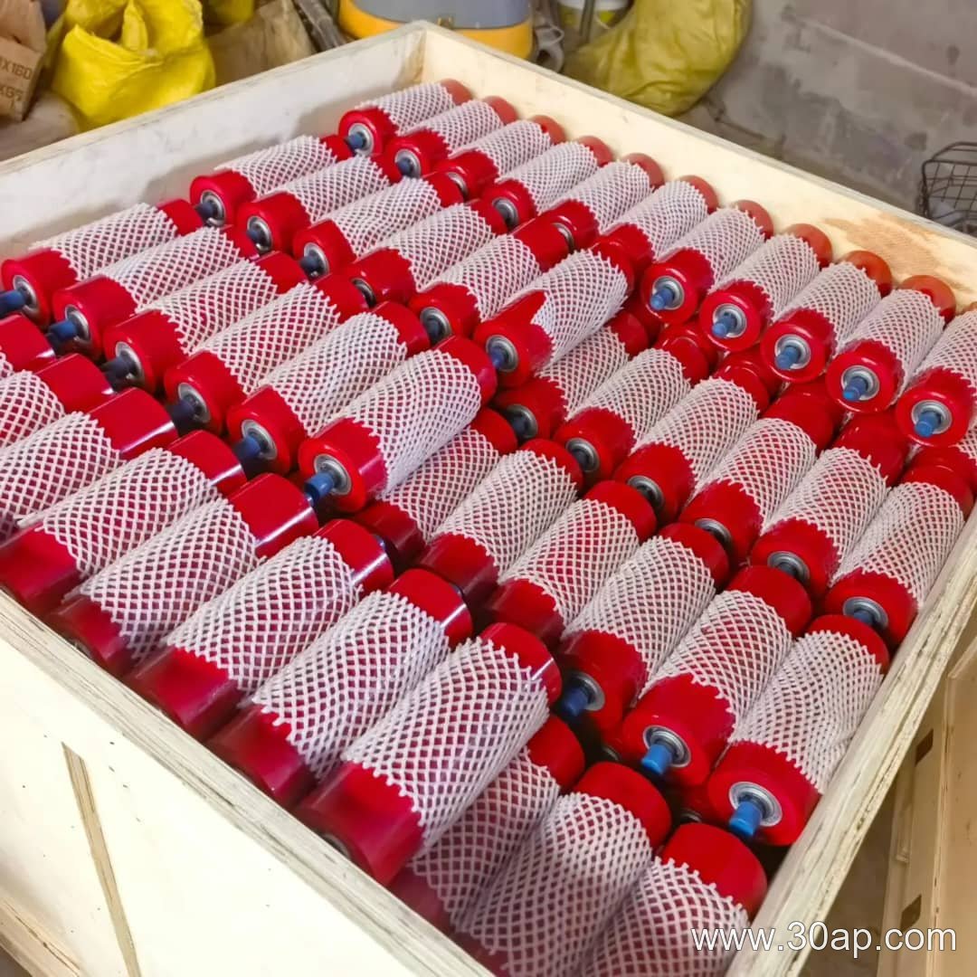 Belt Guide Roller