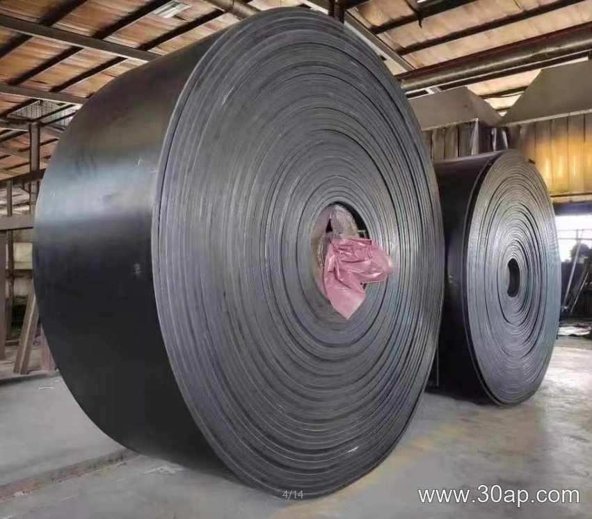 High Temperature Conveyor Belt