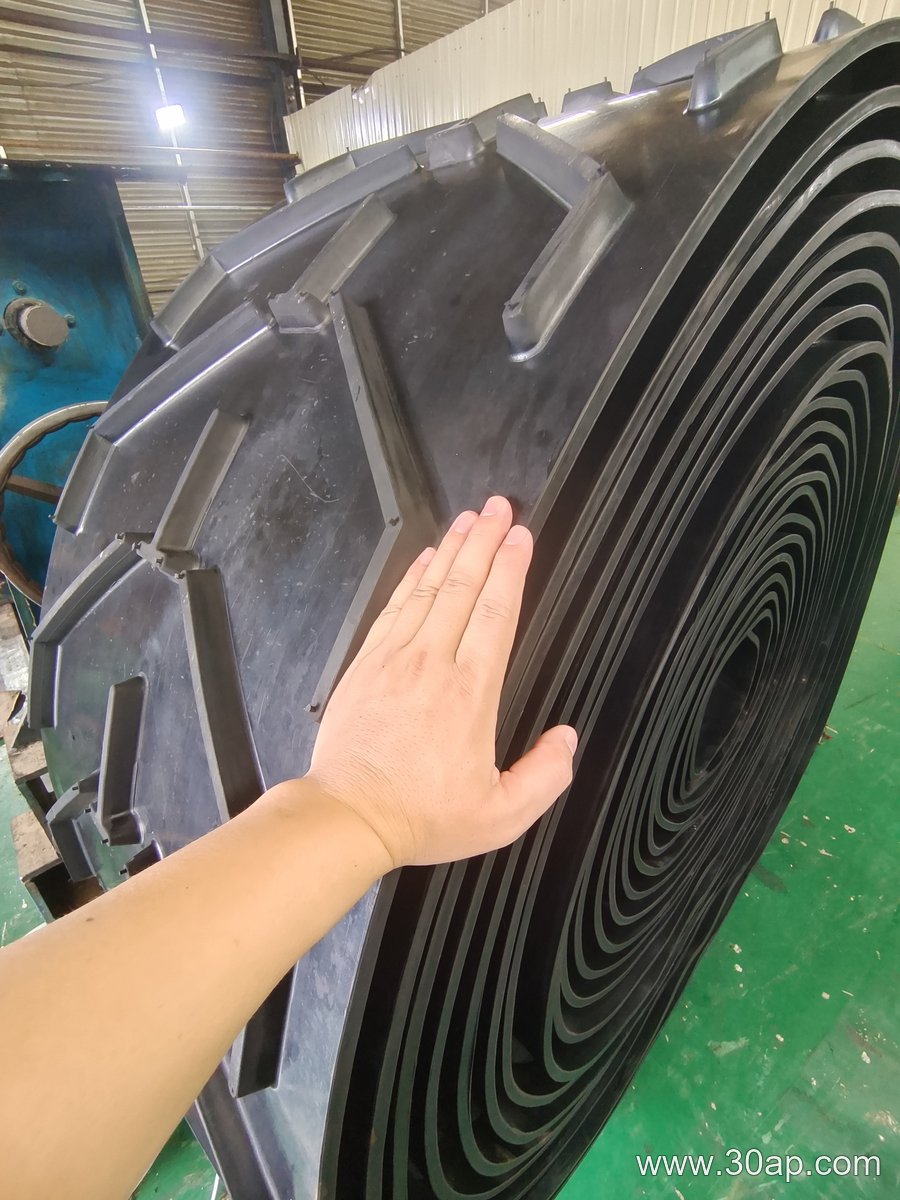 NN100 Conveyor Belt