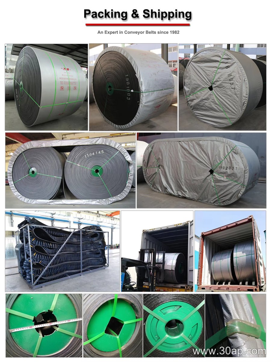 EP1000 Conveyor Belt
