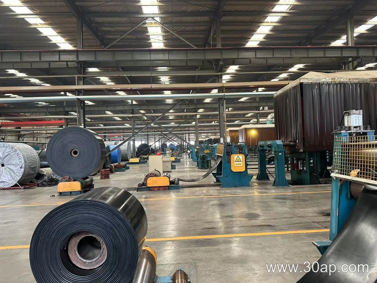 2400mm Conveyor Belt