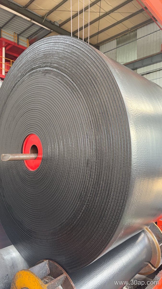 2400mm Conveyor Belt