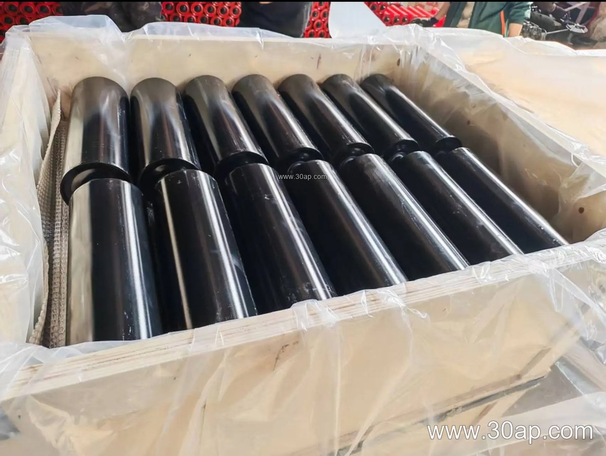 Conveyor Side Guide Roller