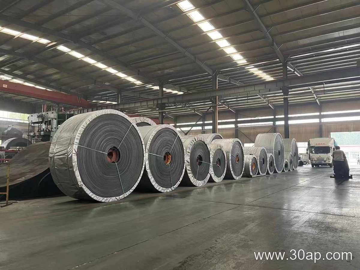 EP500 Conveyor Belt
