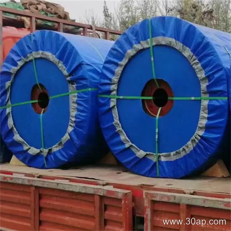 NN100 Conveyor Belt