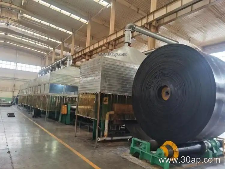 EP1000 1200mm Conveyor Belt