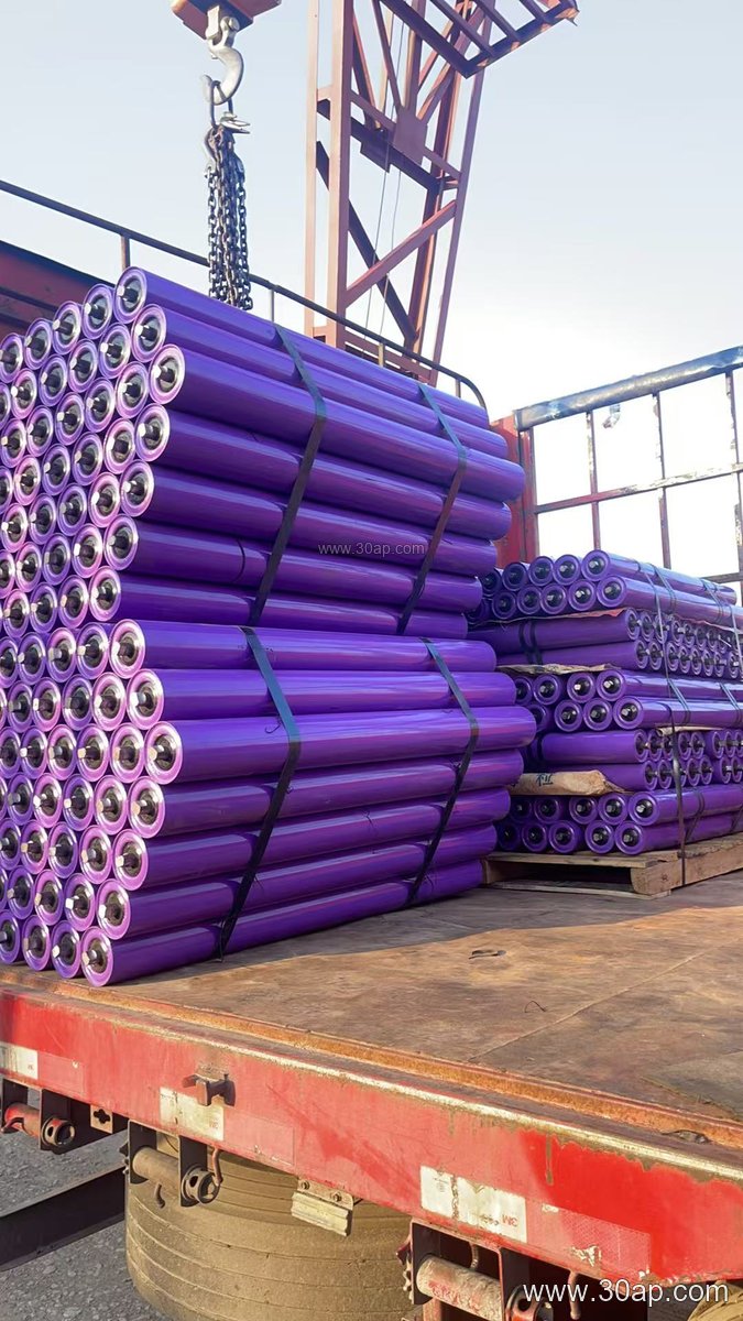 Conveyor Belt Carrying Idler