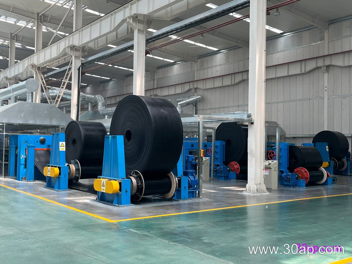 Power Plant Conveyor Belt