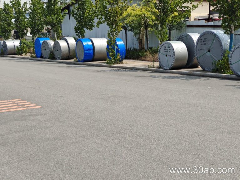EP1250 Conveyor Belt for Demanding Bulk Handling