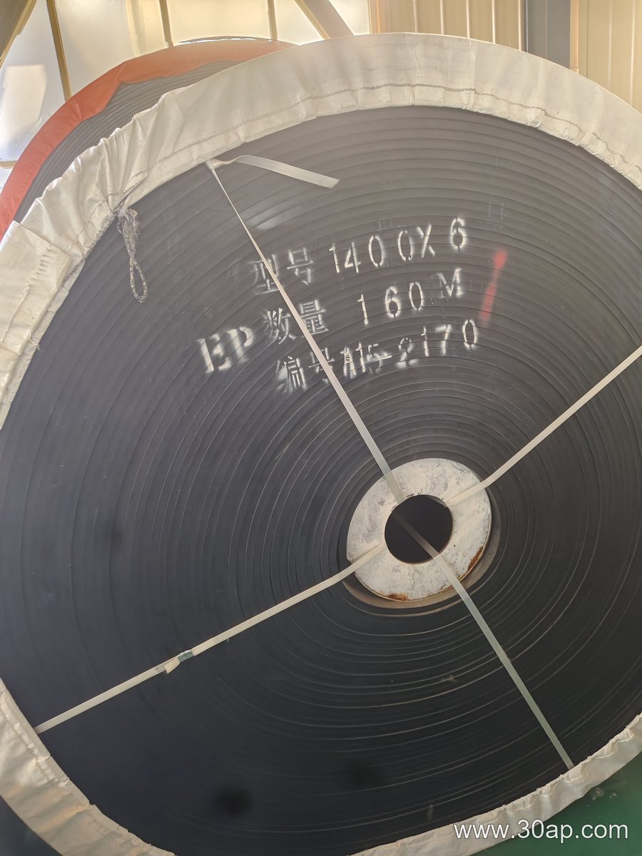 ST2500 Conveyor Belt