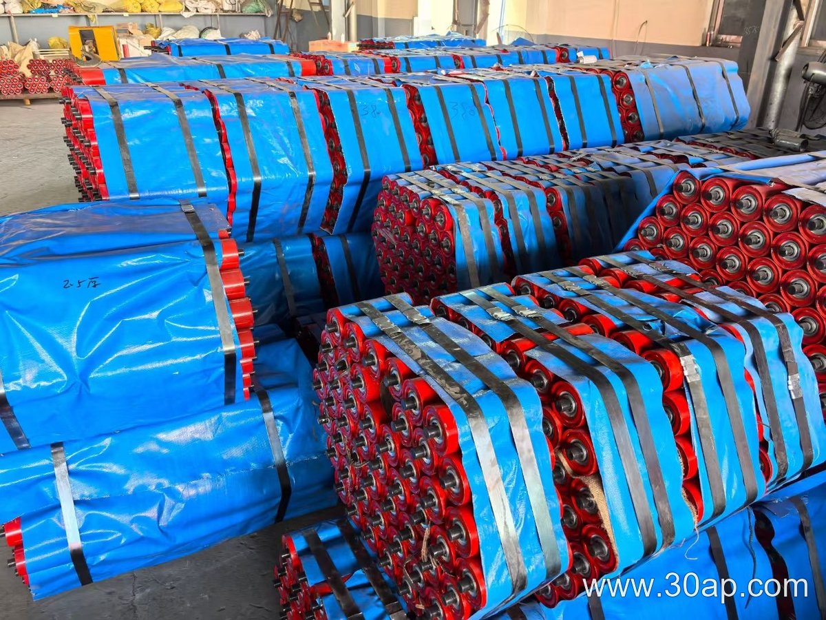 6205 Bearing Idler