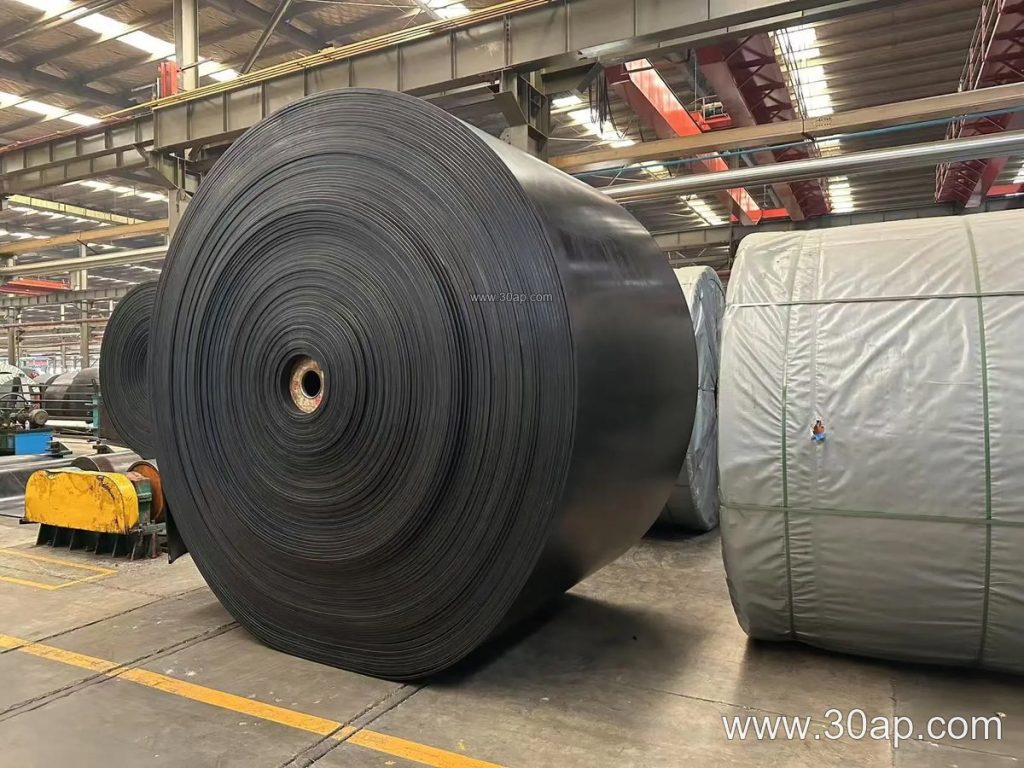 EP1000 Conveyor Belt