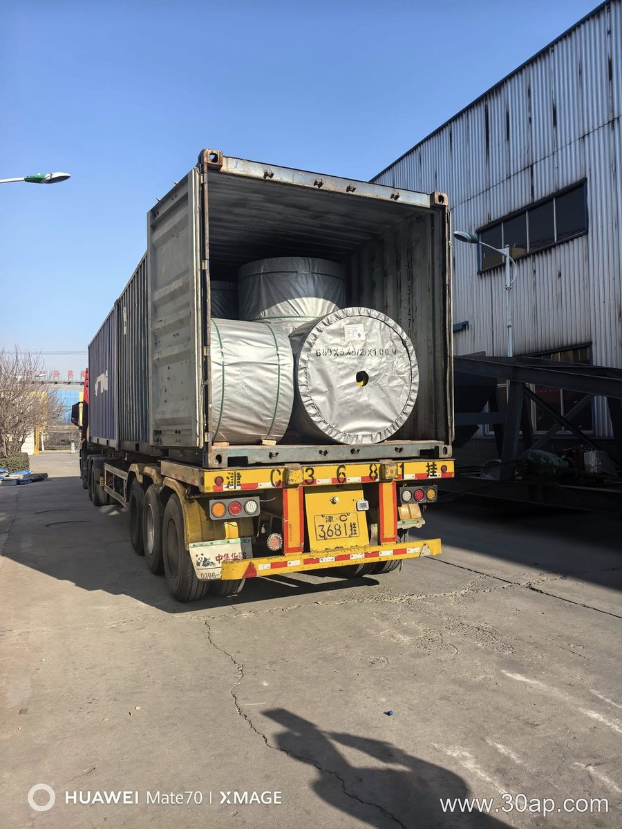 EP1000 Conveyor Belt