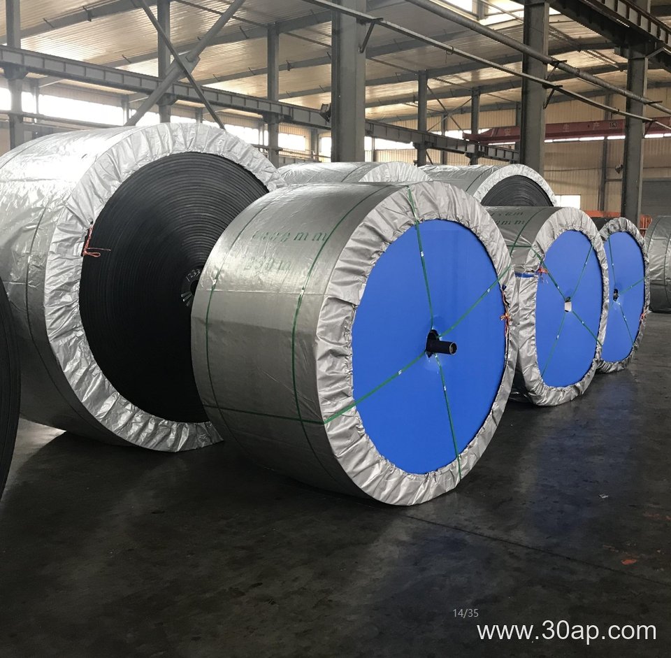 EP800 Conveyor Belt