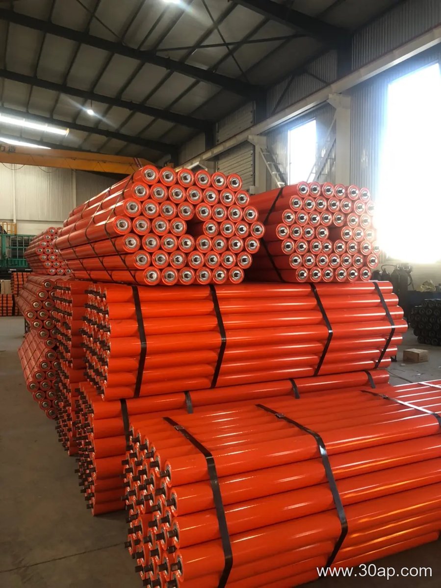 6205 Bearing Idler