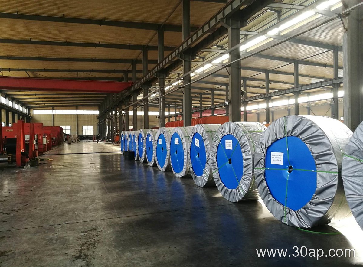 NN300 Conveyor Belt