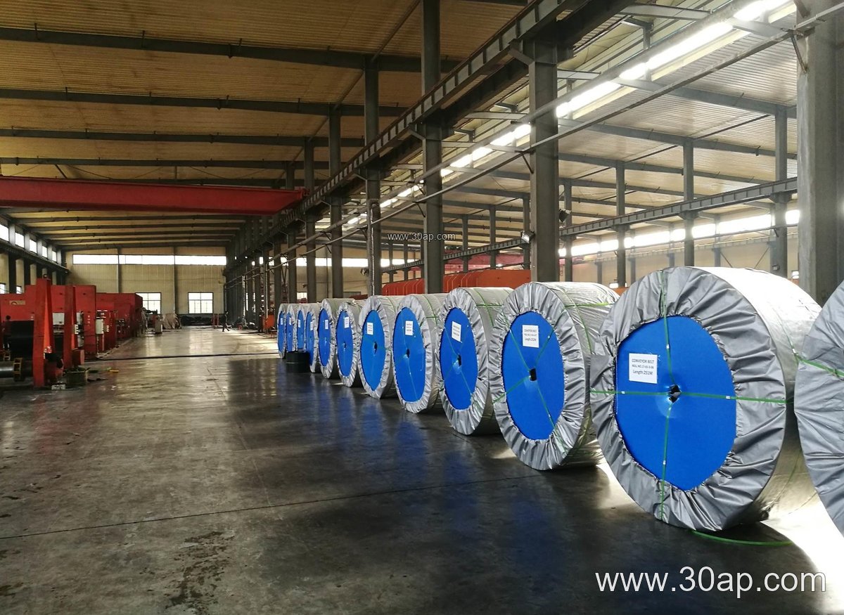 High Temperature Conveyor Belt