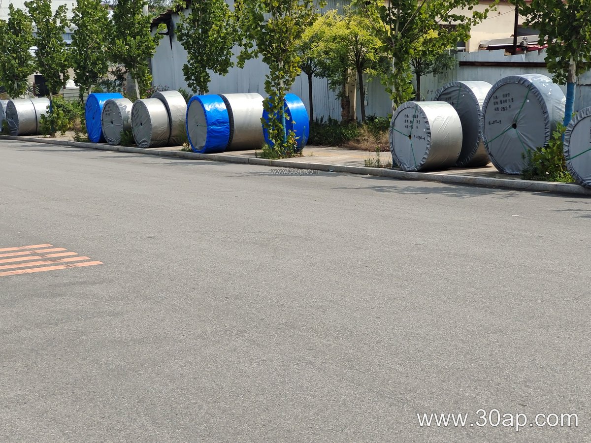 EP300 Conveyor Belt
