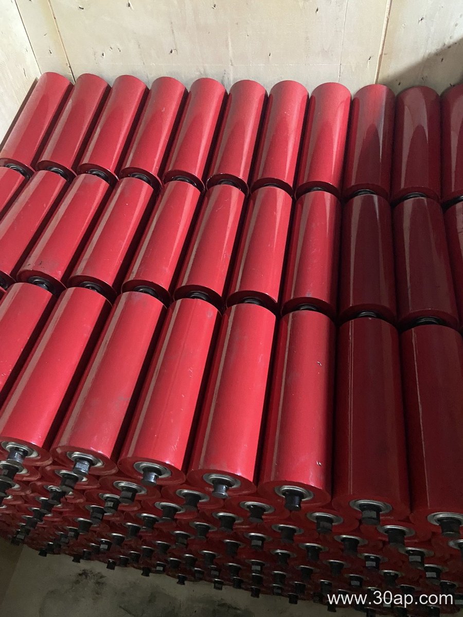 Power Plant Conveyor Idler
