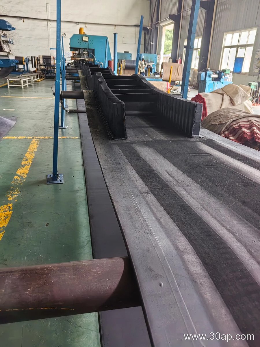 EP1000 1200mm Conveyor Belt