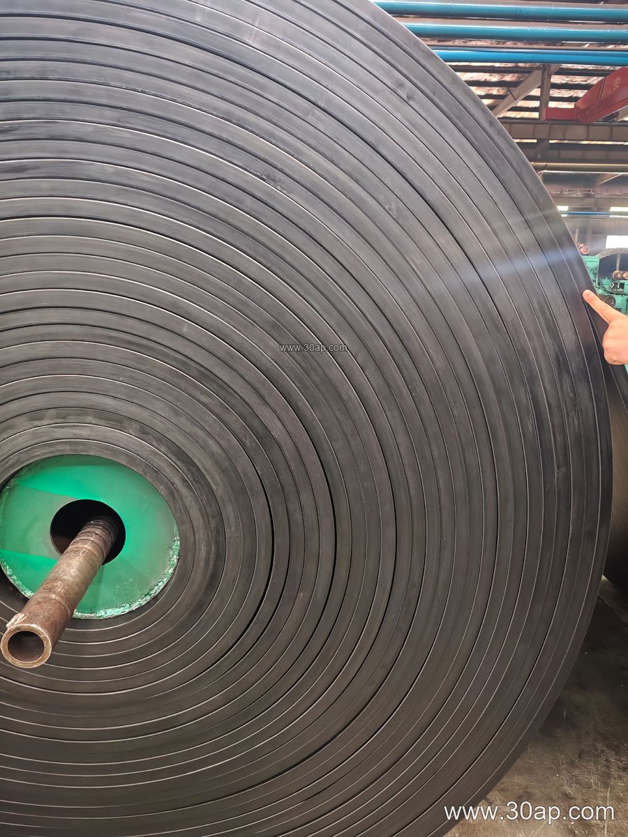 High Temperature Conveyor Belt