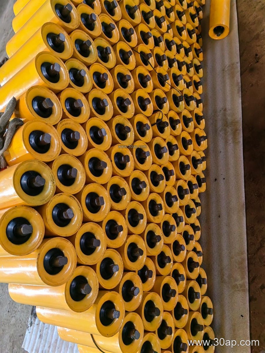 Conveyor Vertical Roller